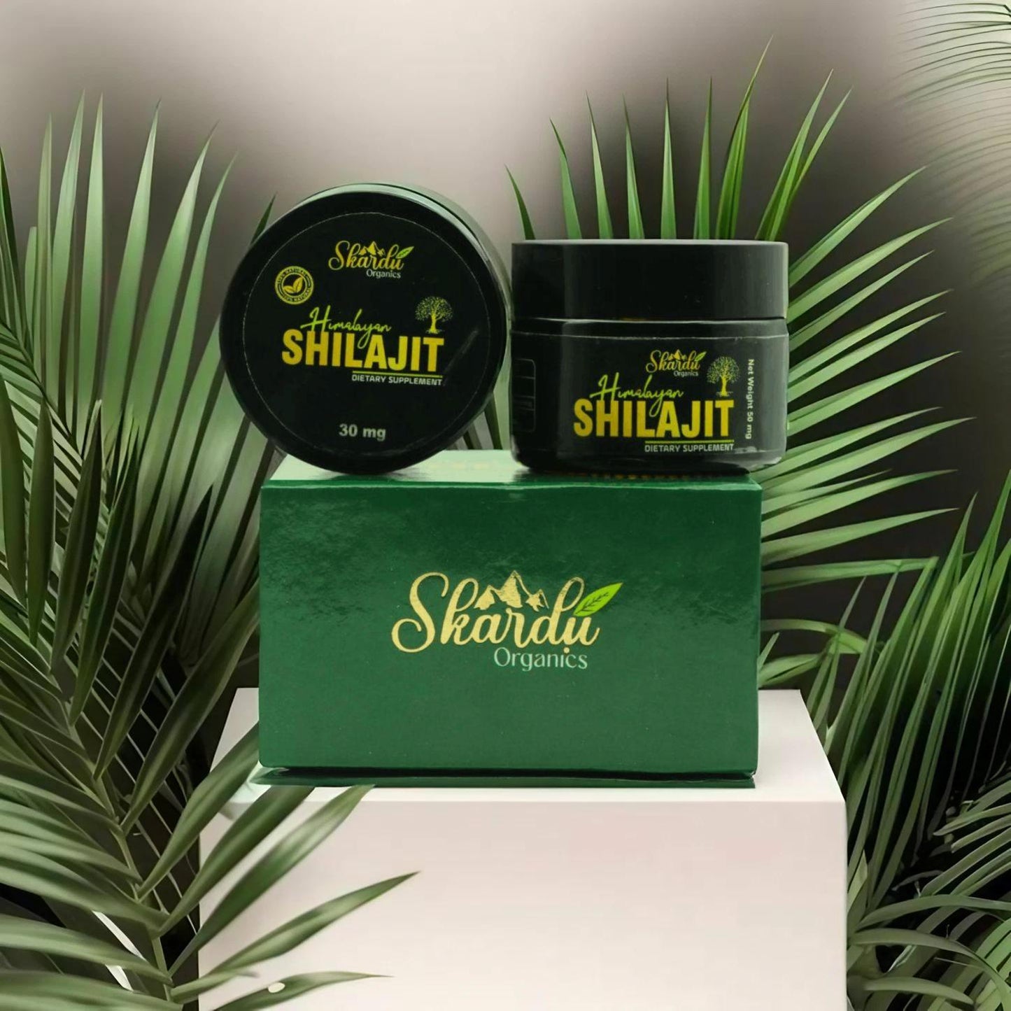 Pure Himalayan Salajit (سلاجیت)